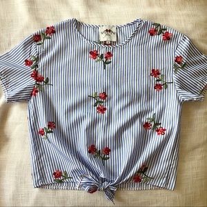 Embroidered and Striped Top